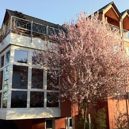 Gaestehaus Kirschgarten Bodenheim Exterior foto